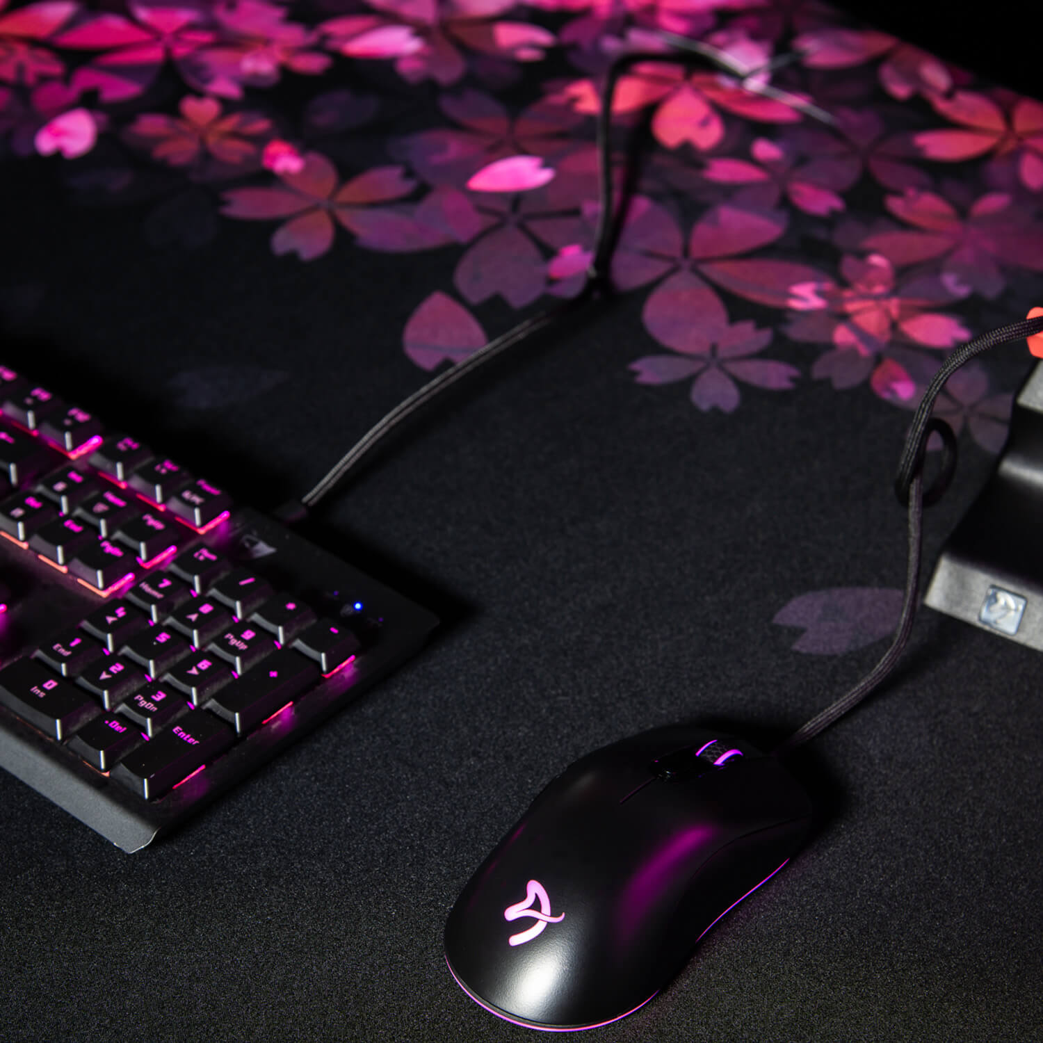 Tapis de souris Arena